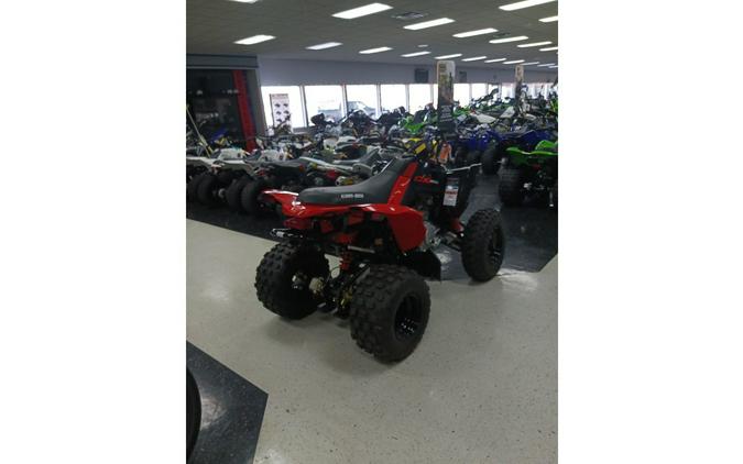 2024 Can-Am ATV DS 2X4 250-4ST RD 24