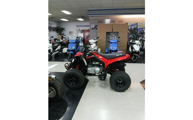 2024 Can-Am ATV DS 2X4 250-4ST RD 24