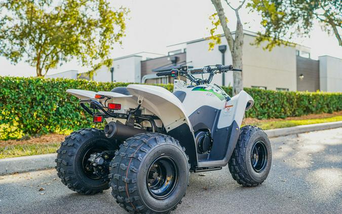 2026 Kawasaki KFX 90