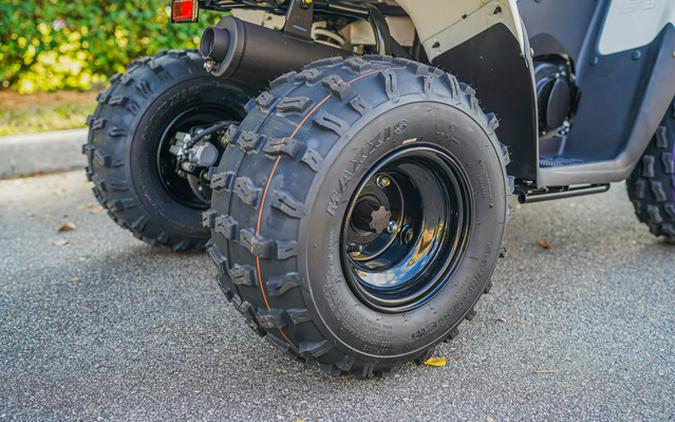 2026 Kawasaki KFX 90