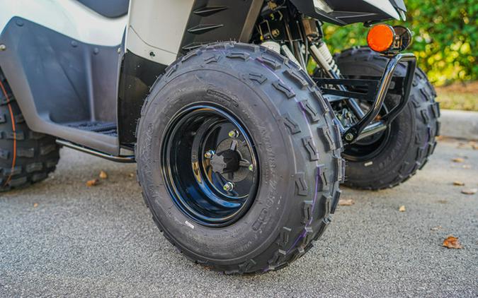 2026 Kawasaki KFX 90