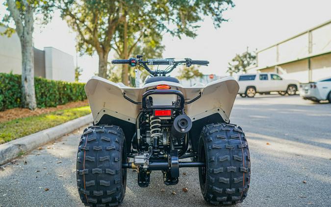 2026 Kawasaki KFX 90