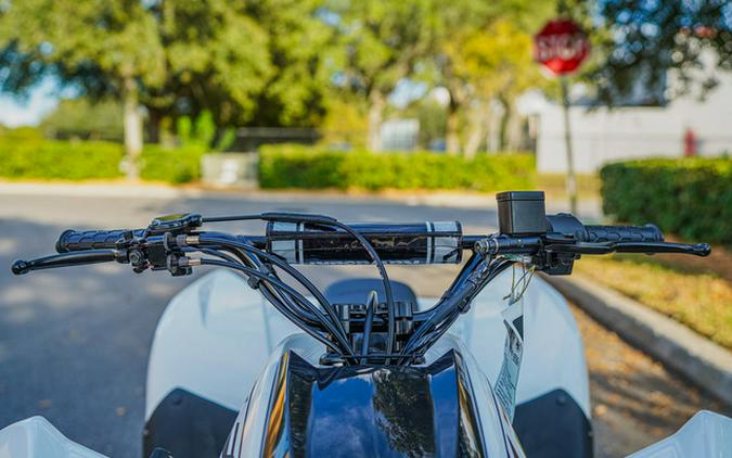 2026 Kawasaki KFX 90