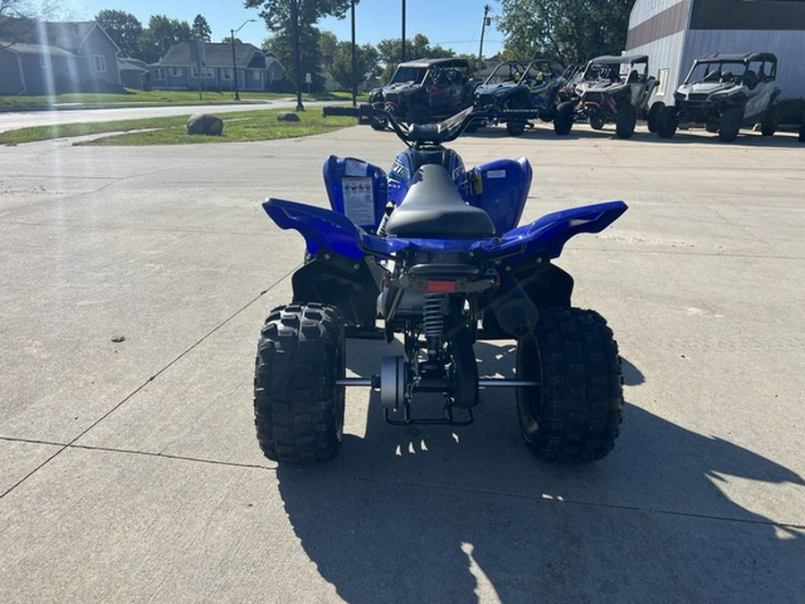 2026 Yamaha Raptor 110