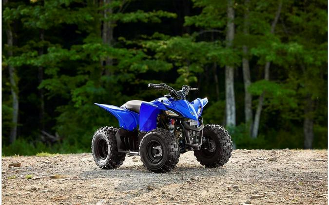 2023 Yamaha YFZ50