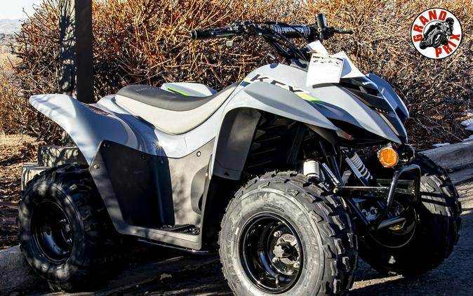 2024 Kawasaki KFX®90