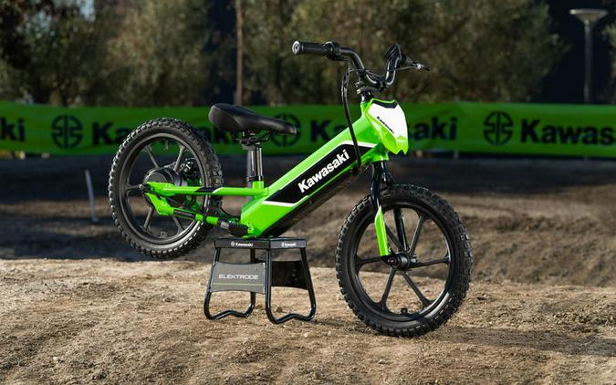 2023 Kawasaki Elektrode