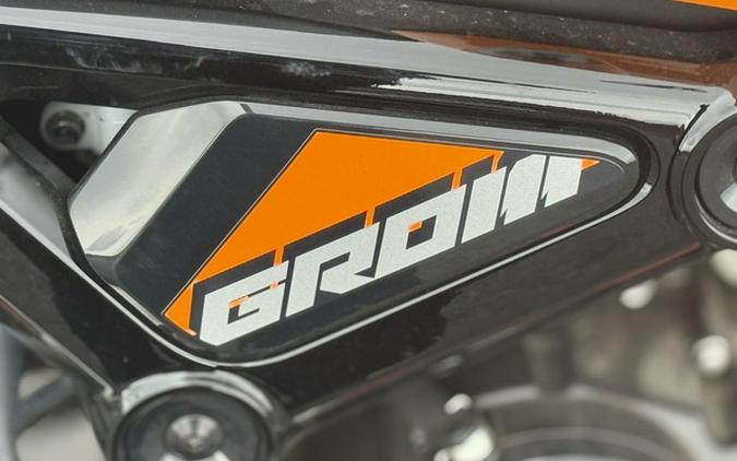 2024 Honda Grom