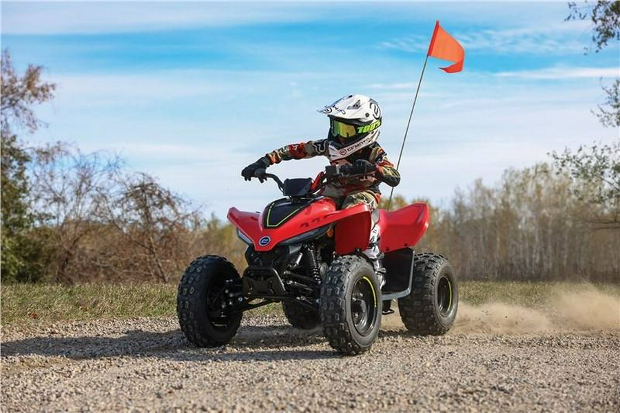 2024 CFORCE 110 - CFMOTO