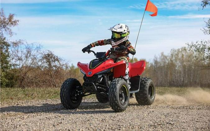 2024 CFORCE 110 - CFMOTO