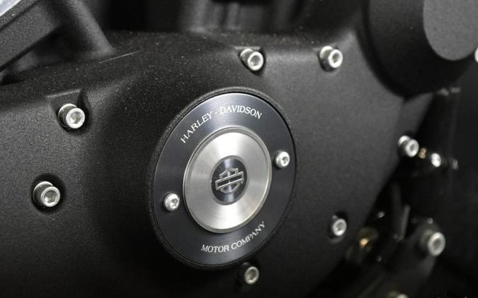 2022 Harley-Davidson Iron 883