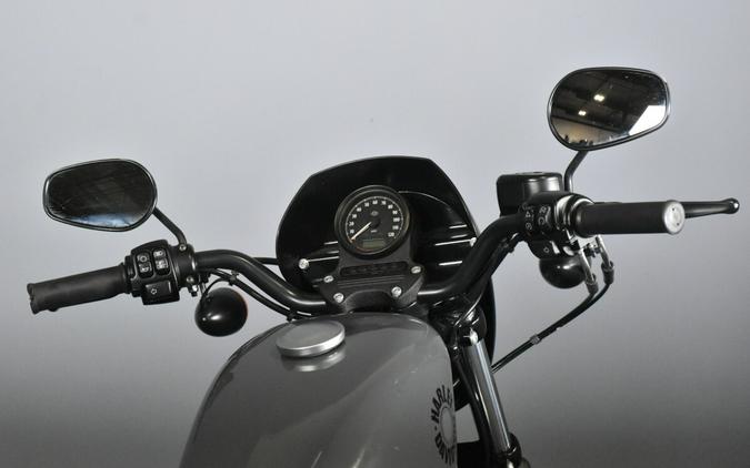 2022 Harley-Davidson Iron 883