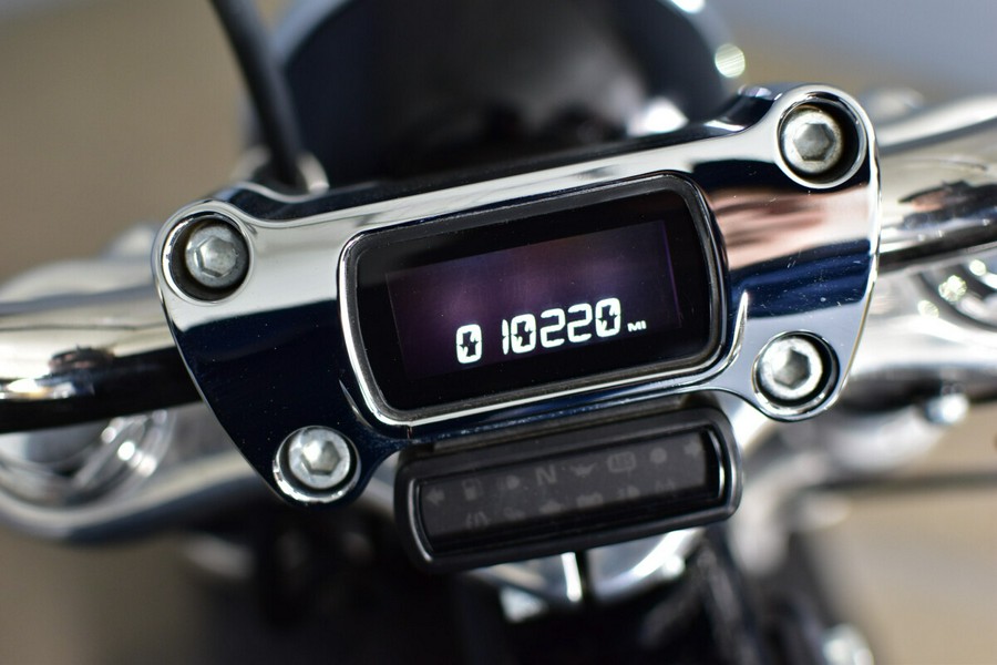 2024 Harley-Davidson Softail Standard