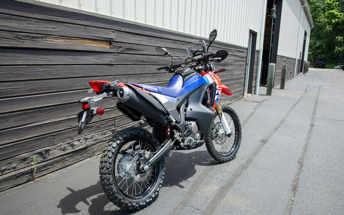 2026 Honda® CRF300L Rally