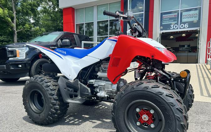 2026 Honda TRX250X