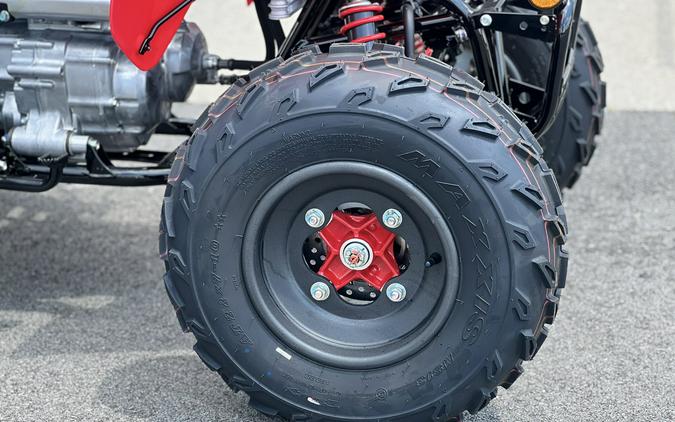 2026 Honda TRX250X