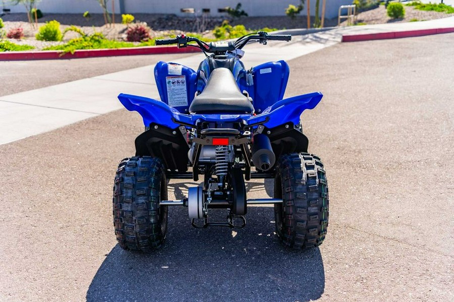 2024 Yamaha Raptor 110