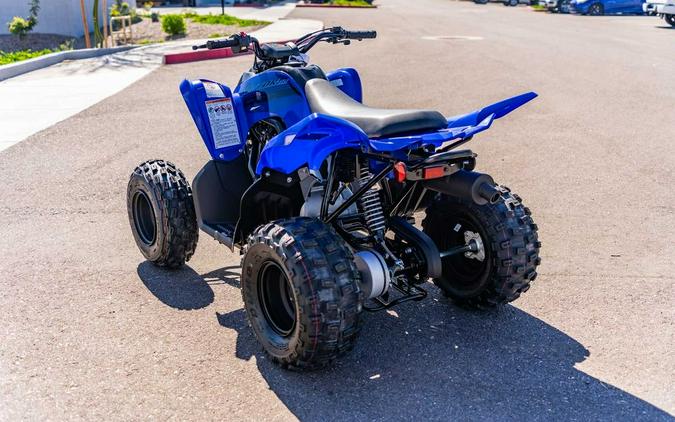 2024 Yamaha Raptor 110