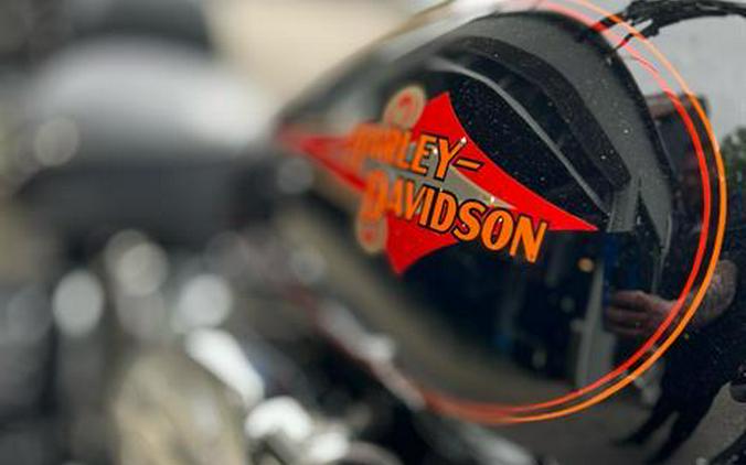 1995 Harley-Davidson HERITAGE