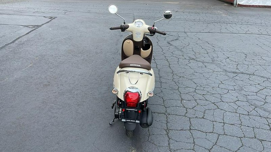 2019 Honda® Metropolitan