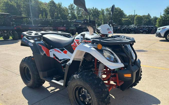2026 Kayo Bull 300 EFI