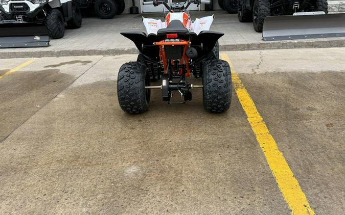 2026 KAYO Storm 150 EFI