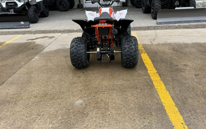 2026 Kayo Bull 150 EFI