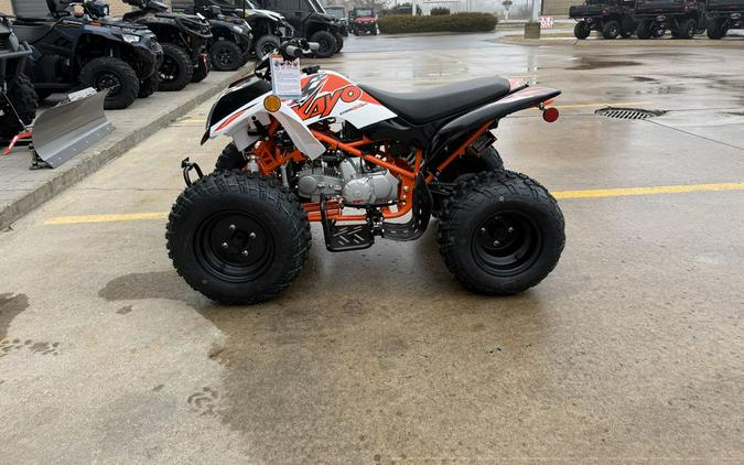 2026 Kayo Bull 150 EFI