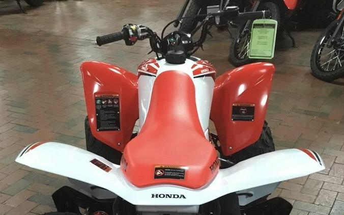 2024 Honda® TRX250X