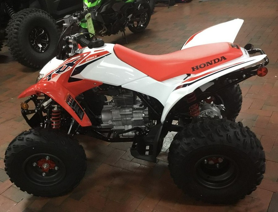 2024 Honda® TRX250X