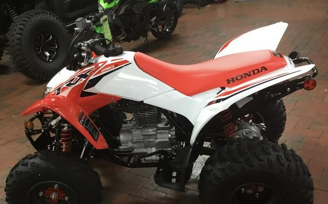 2024 Honda® TRX250X