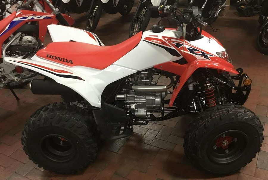 2024 Honda® TRX250X