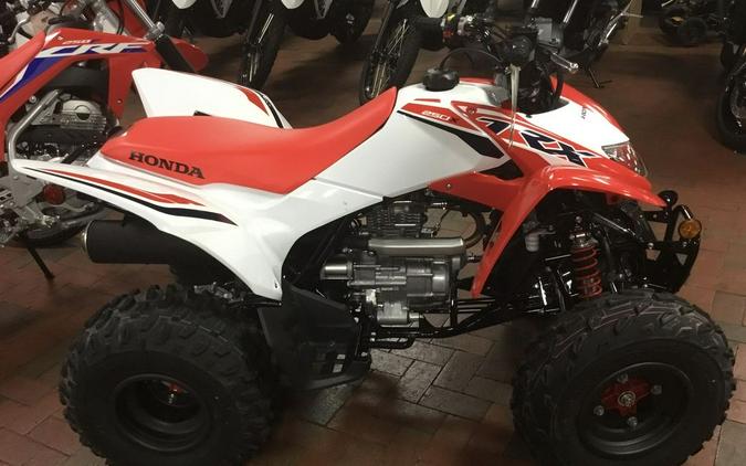 2024 Honda® TRX250X