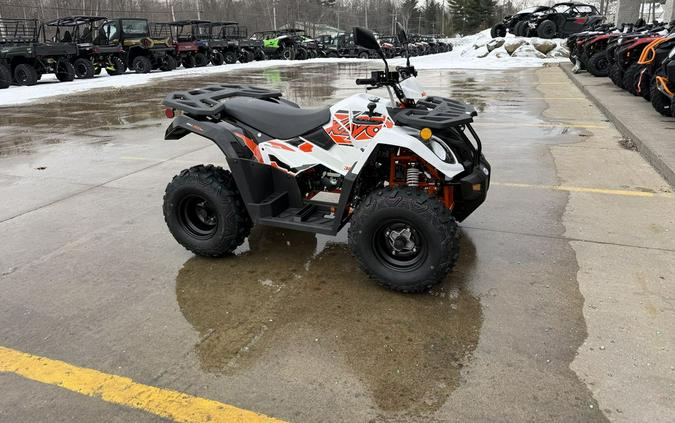 2026 Kayo Bull 300 EFI