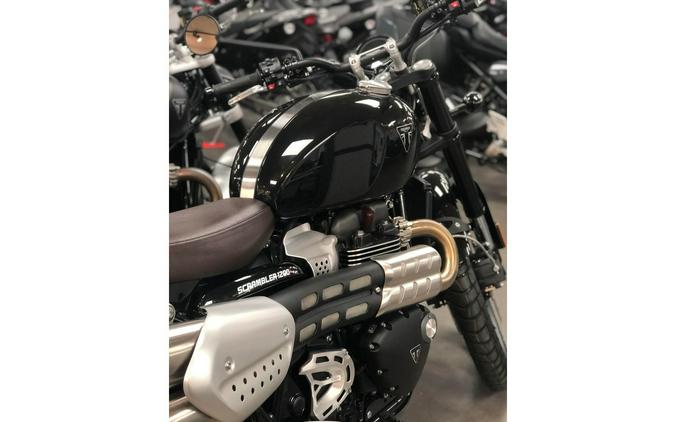 2024 Triumph SCRAMBLER 1200 X