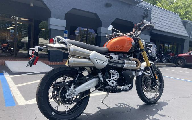 2024 Triumph Scrambler