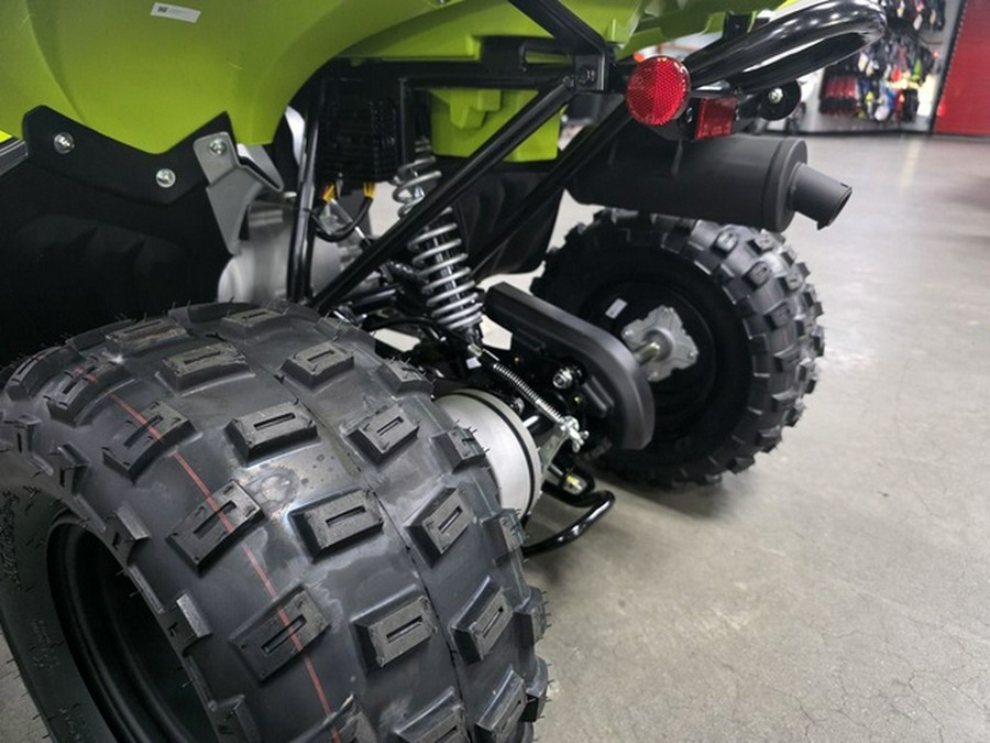 2026 Yamaha Raptor 110