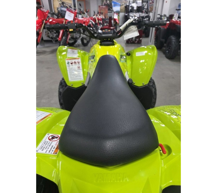 2026 Yamaha Raptor 110