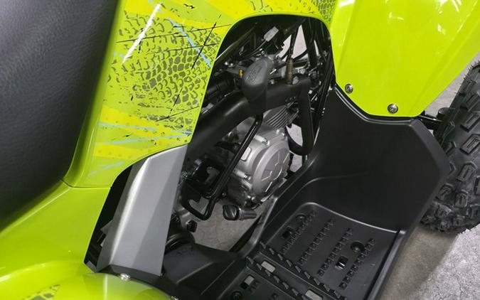 2026 Yamaha Raptor 110