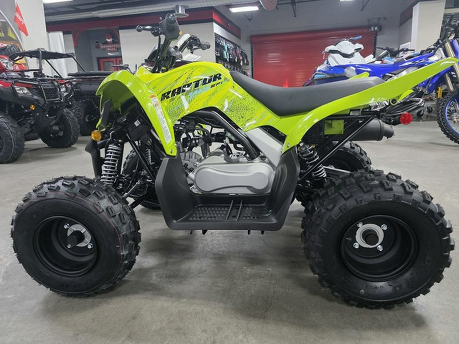 2026 Yamaha Raptor 110