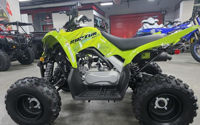 2026 Yamaha Raptor 110