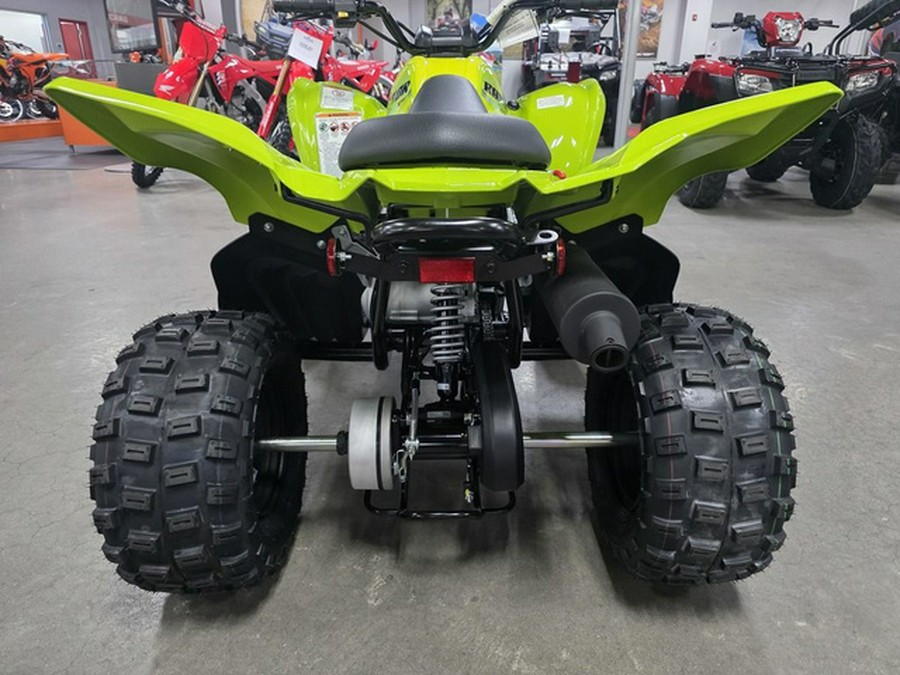 2026 Yamaha Raptor 110