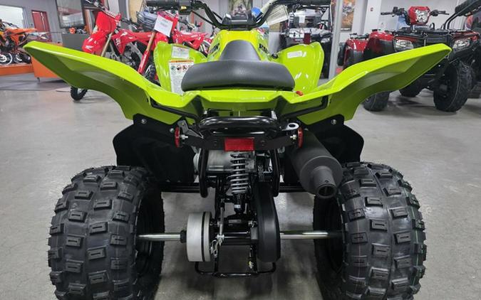 2026 Yamaha Raptor 110