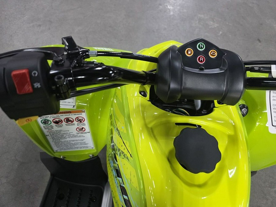 2026 Yamaha Raptor 110