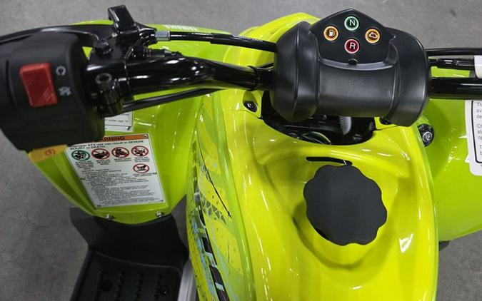 2026 Yamaha Raptor 110