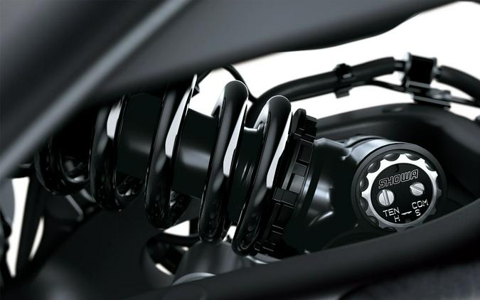 2026 Kawasaki Ninja ZX-10R ABS