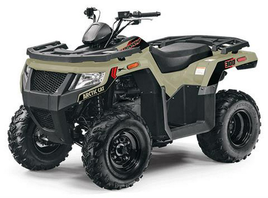 2024 Arctic Cat Alterra 300