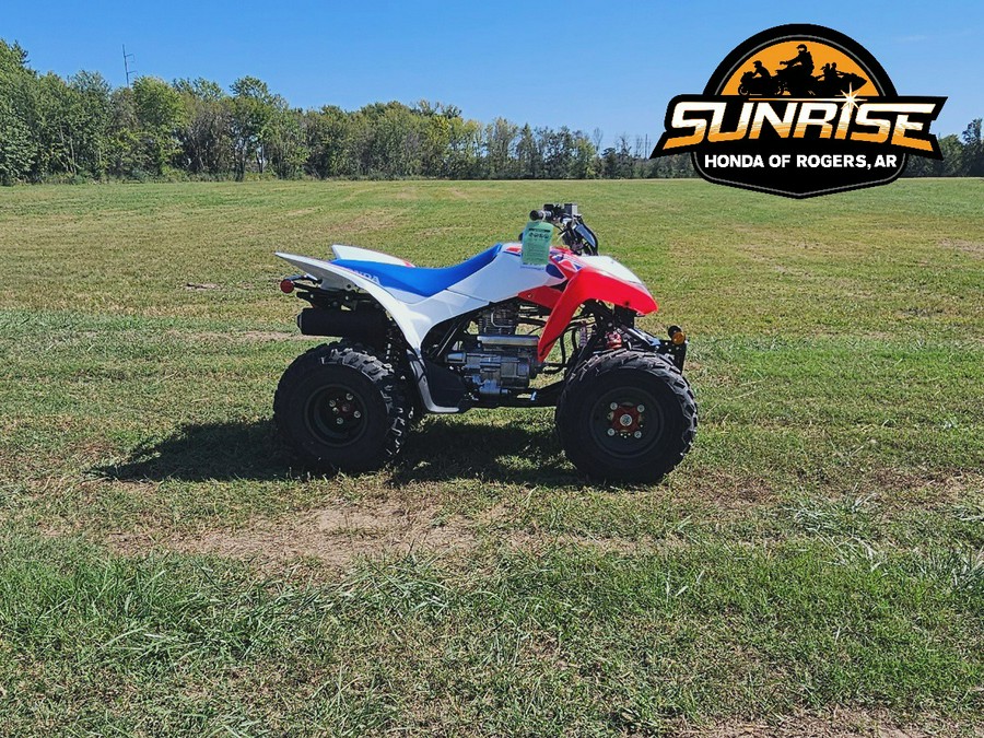 2026 TRX® 250X - Honda