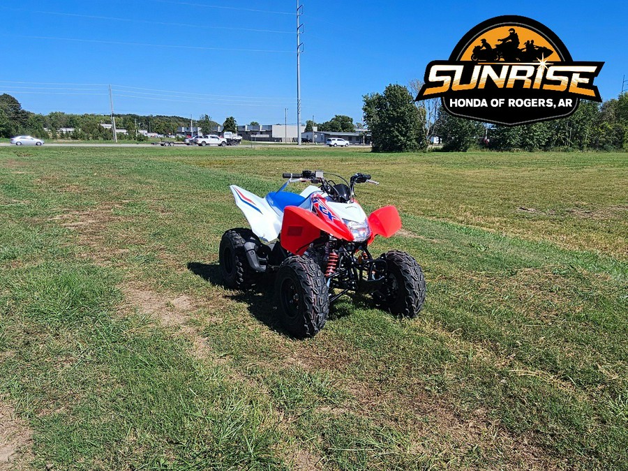 2026 TRX® 250X - Honda