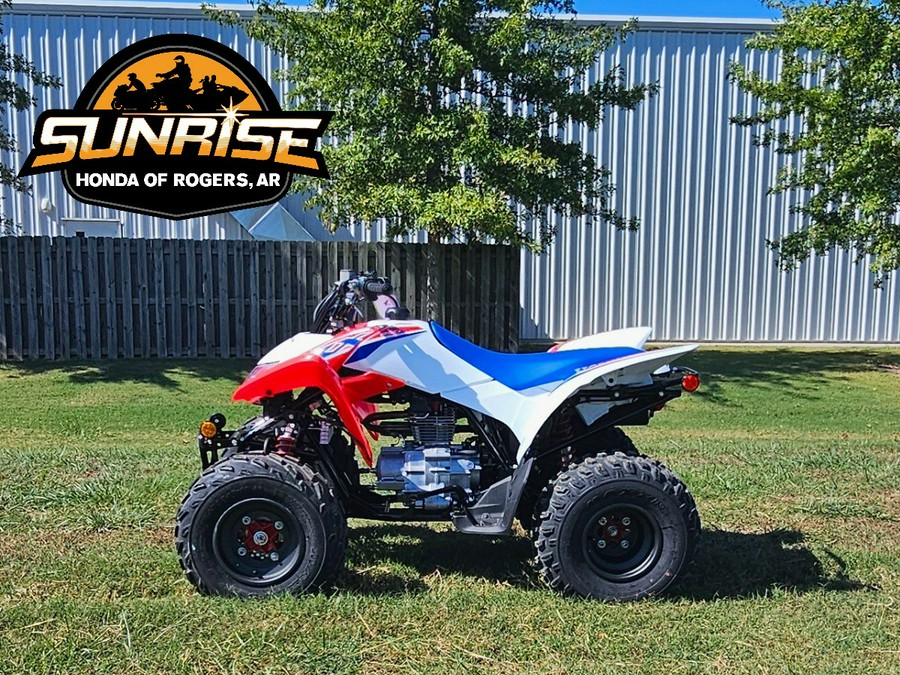 2026 TRX® 250X - Honda